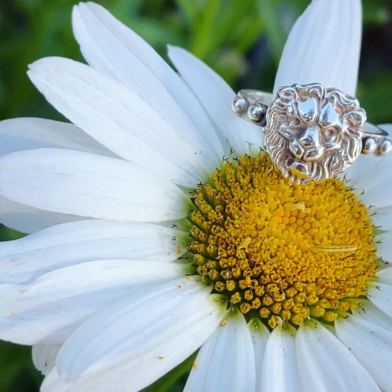 Bague El Léon